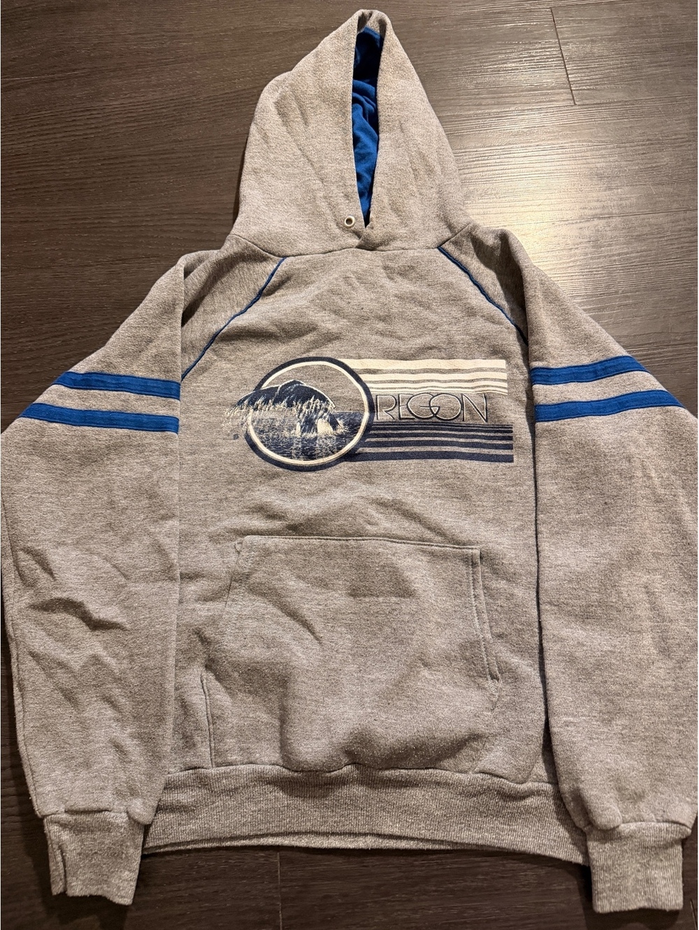 Vintage 80s Russell Jerzees Oregon Graphic Hoodie